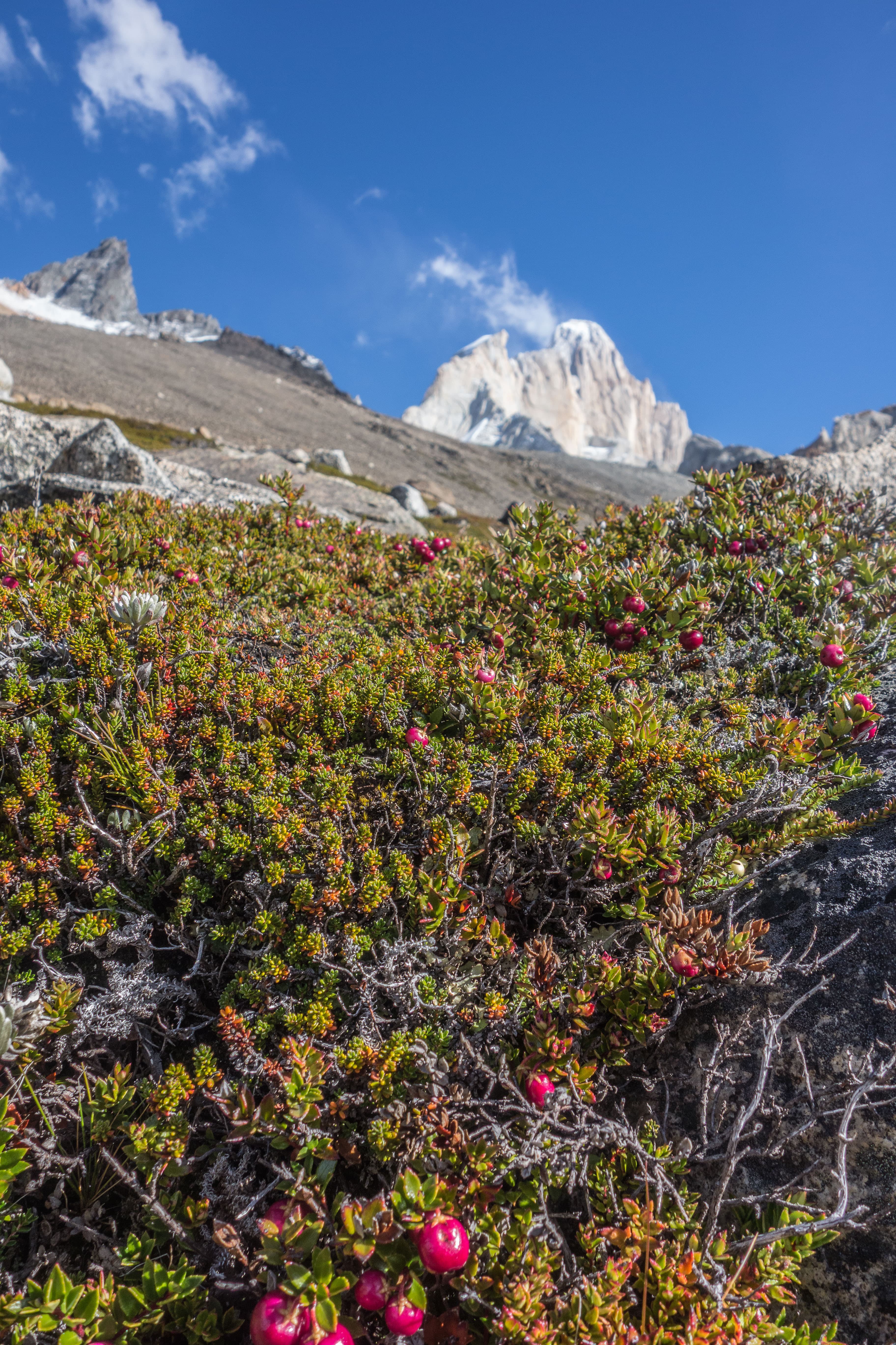 Eine Woche mit Bergführer in Patagonien