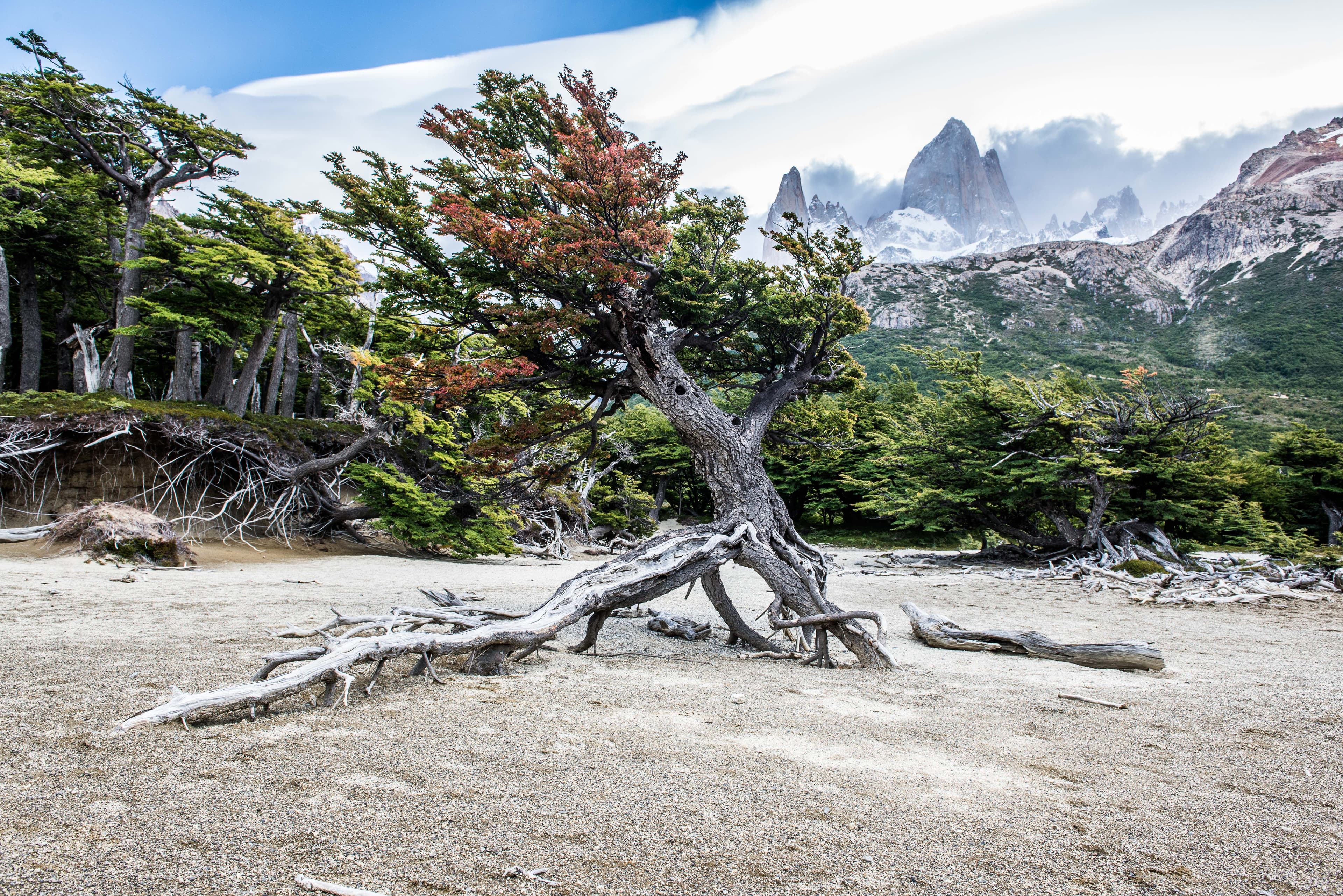 Eine Woche mit Bergführer in Patagonien