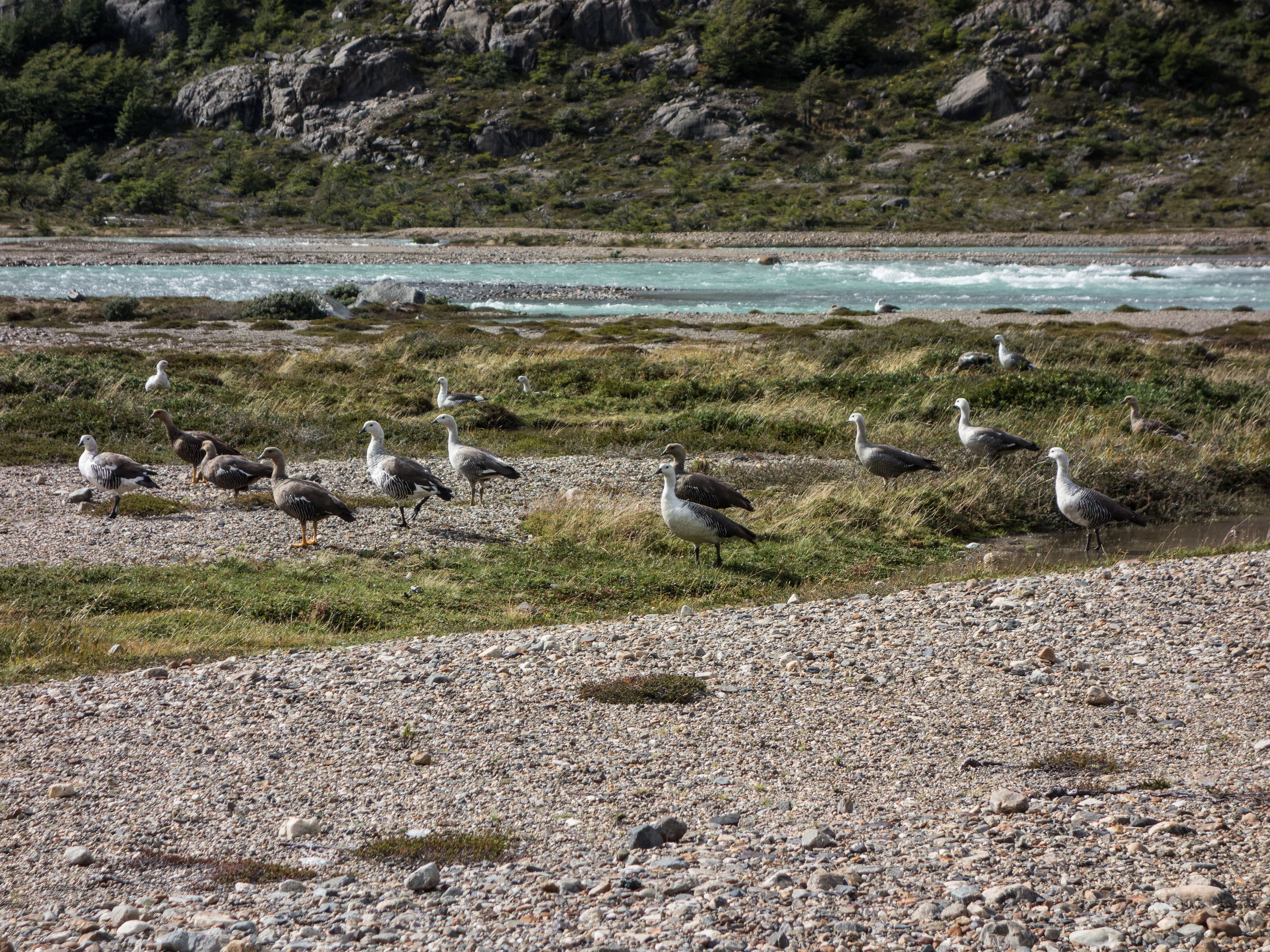 Bergsteigen und Klettern in Patagonien