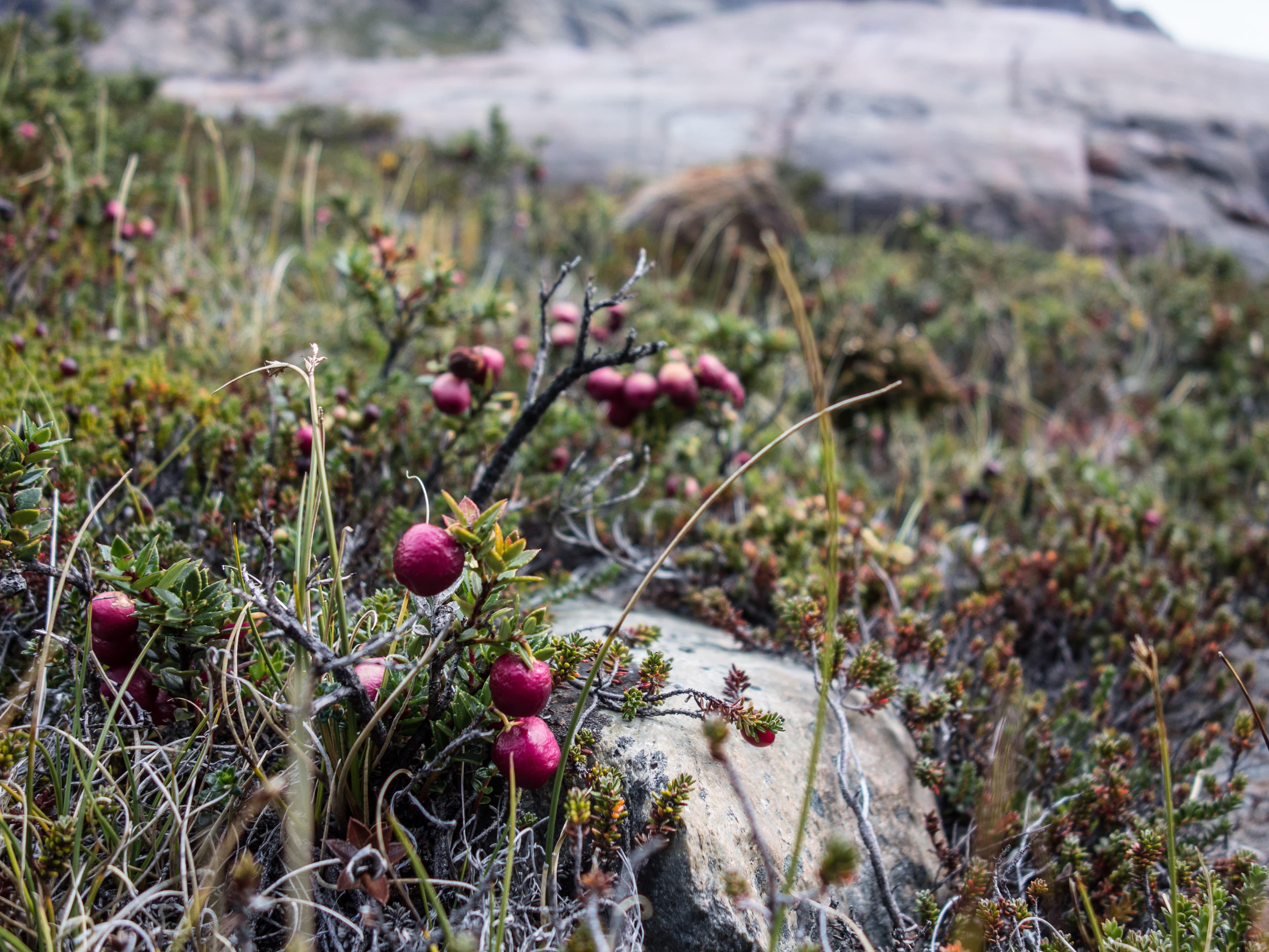 Bergsteigen und Klettern in Patagonien