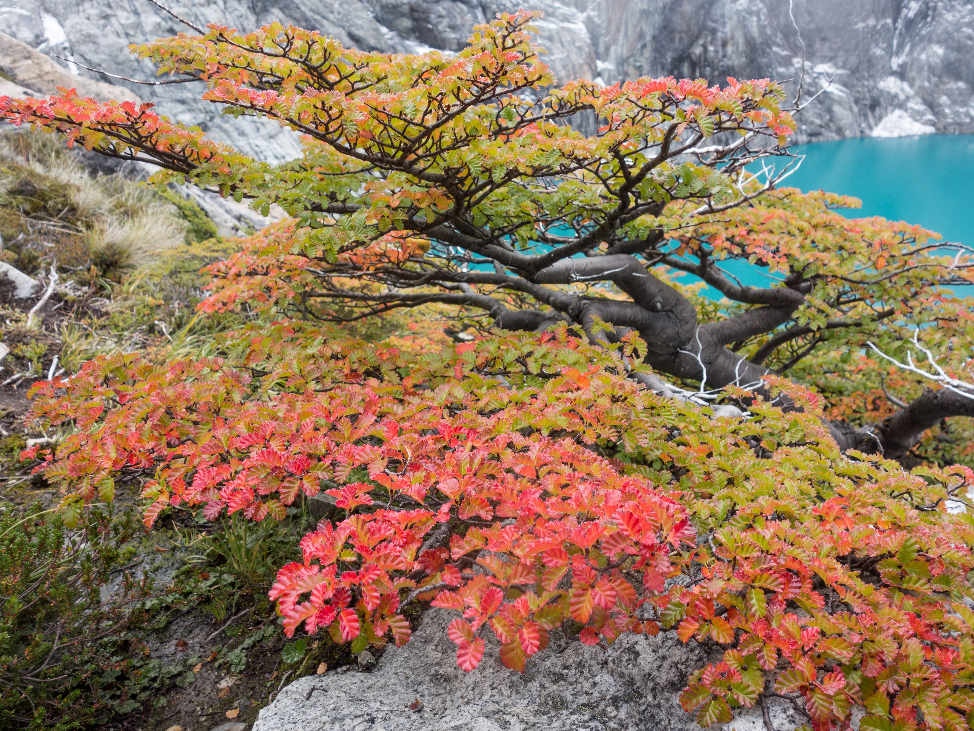 Bergsteigen und Klettern in Patagonien