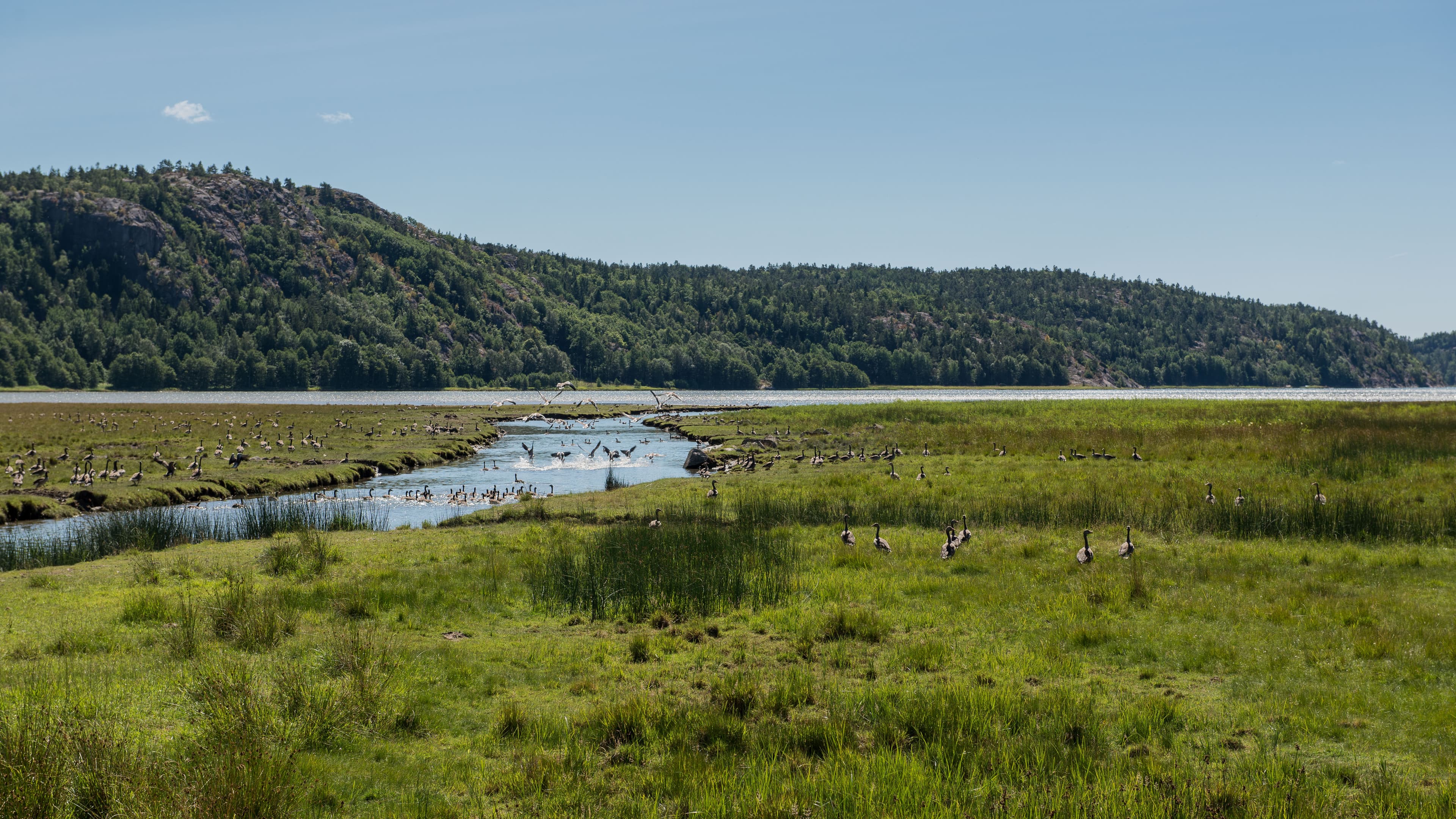 Trad Klettern in Schweden