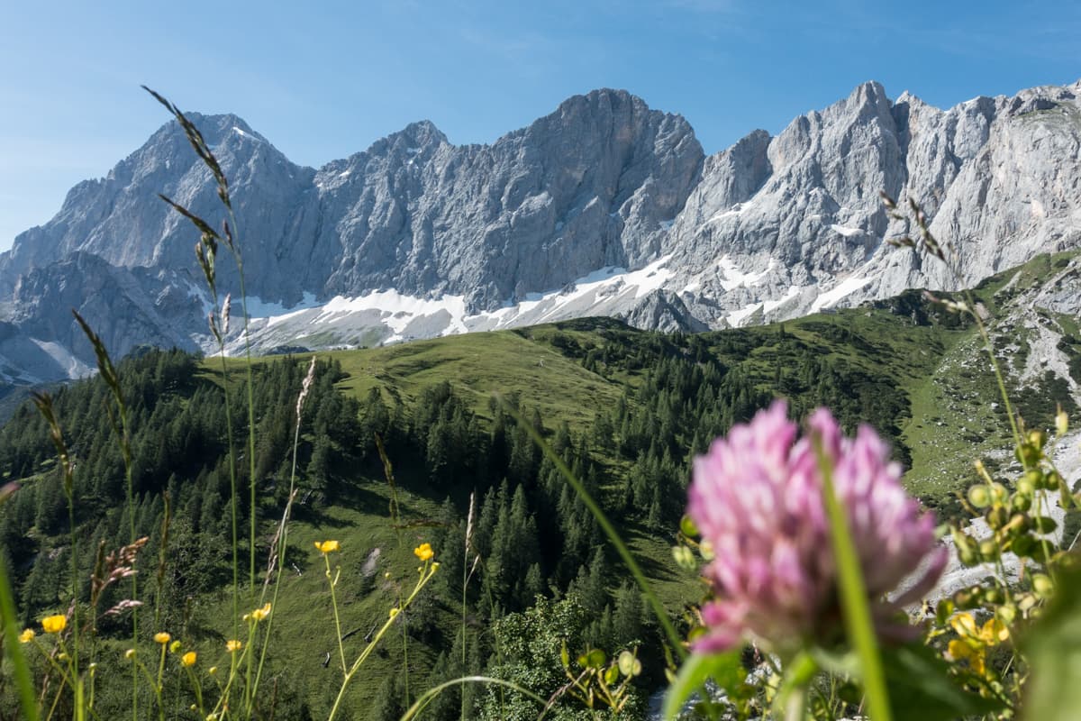 dachstein-besteigung-ramsau-am-dachstein-06