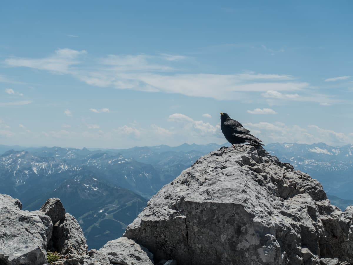 steinerweg-ramsau-am-dachstein-08